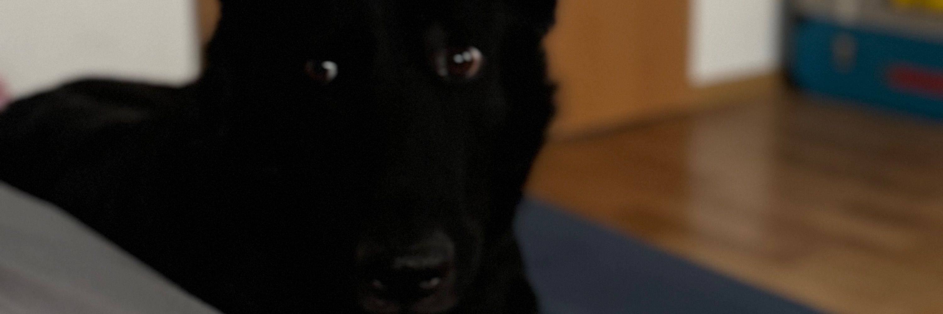 Kübra