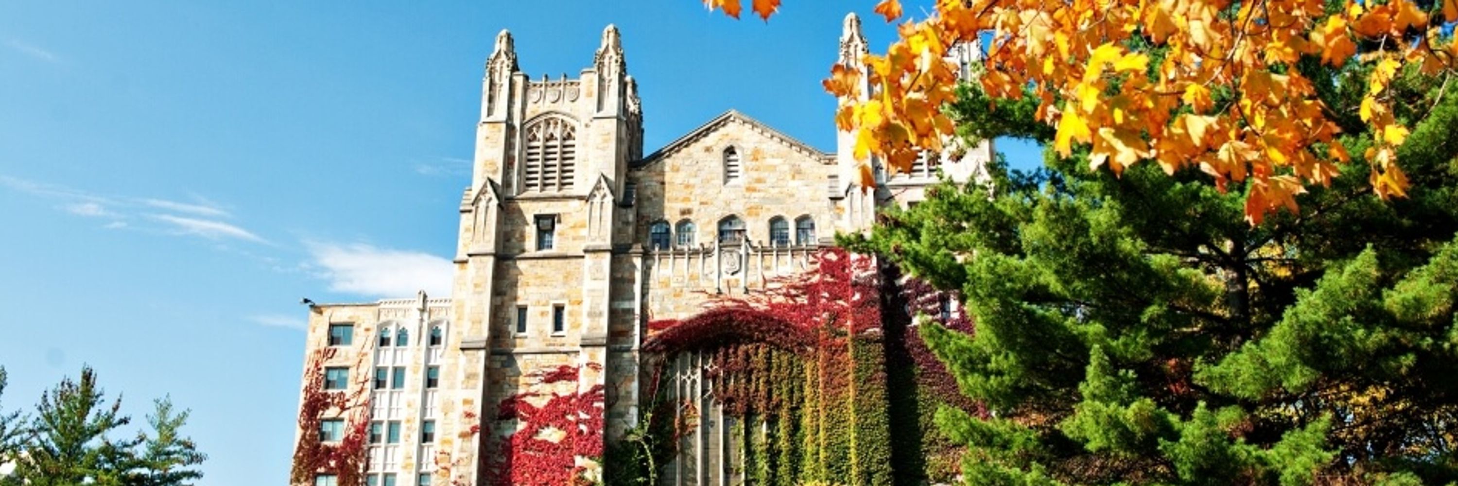 University of Michigan Law Library