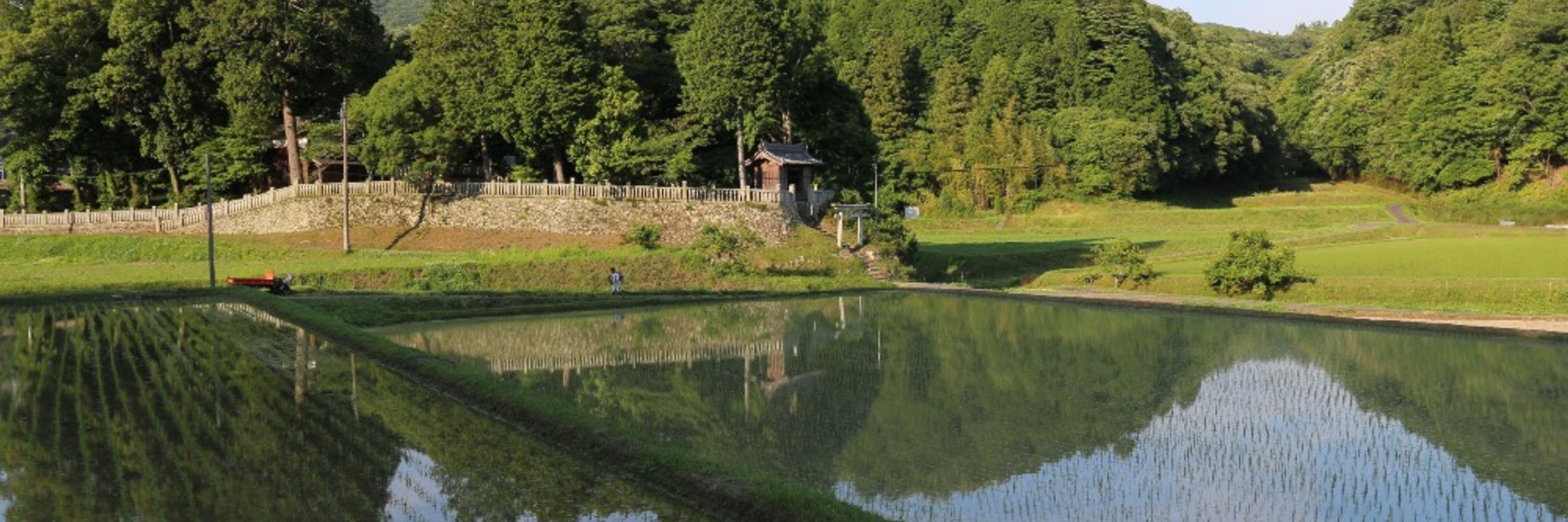 toshiito