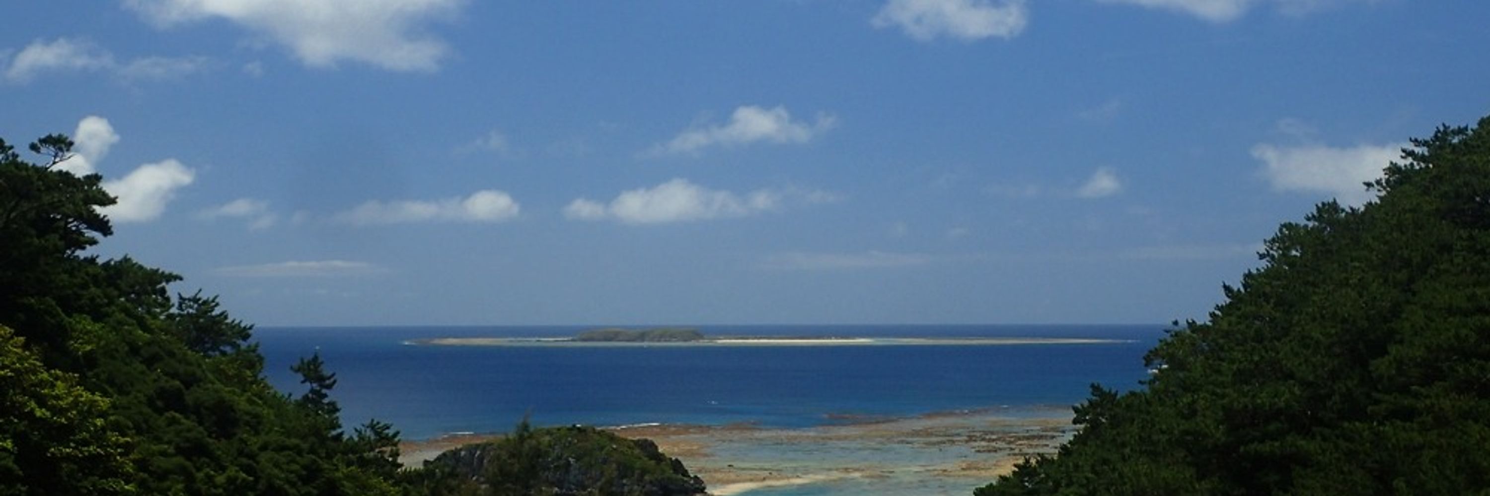 UmiHoshi,海星