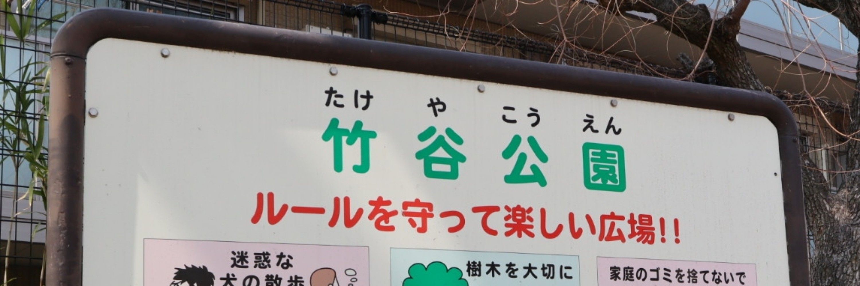 まき乃