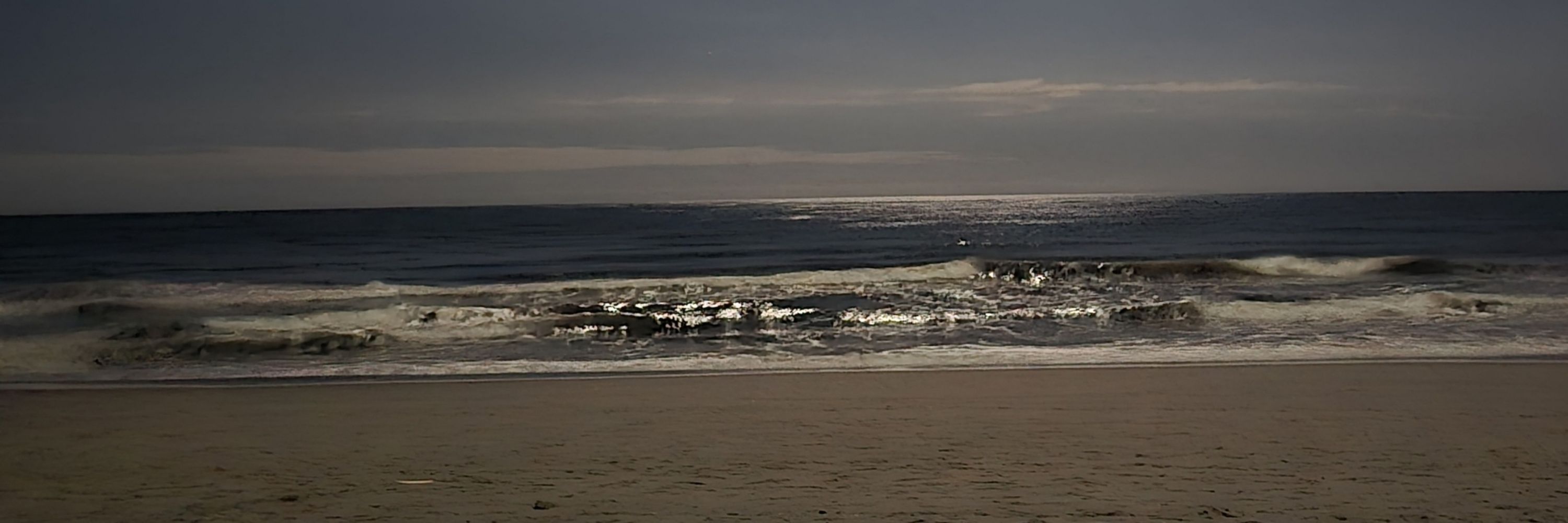Sea Breezy