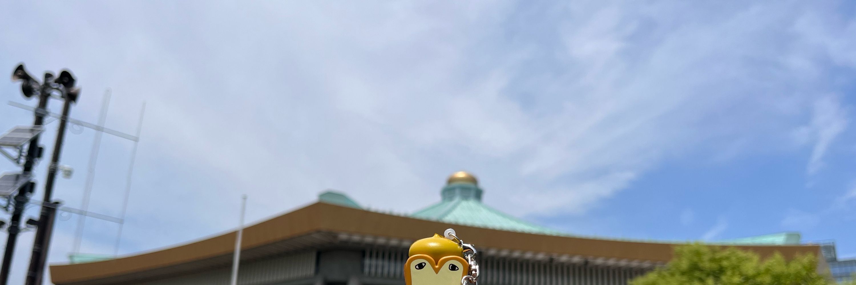 蜜柑