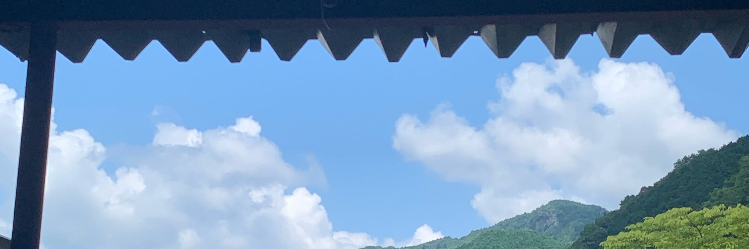sめめめ