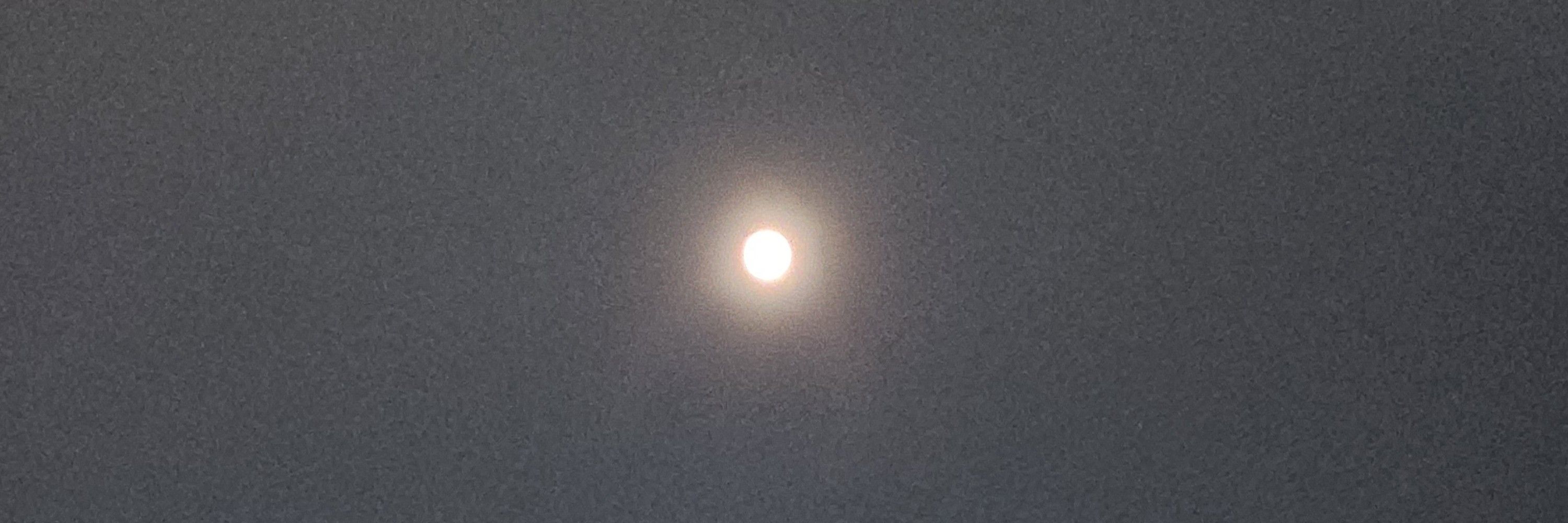 솔유