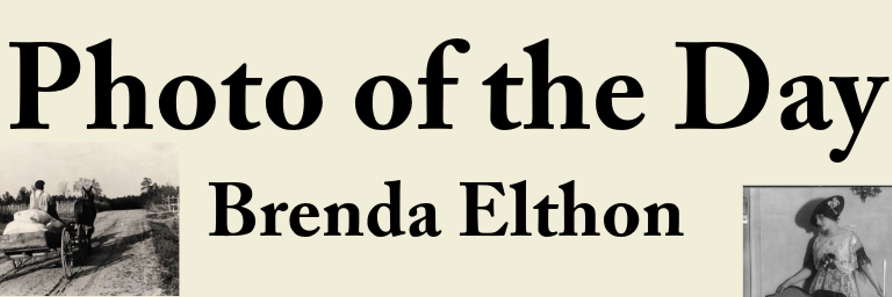Brenda Elthon