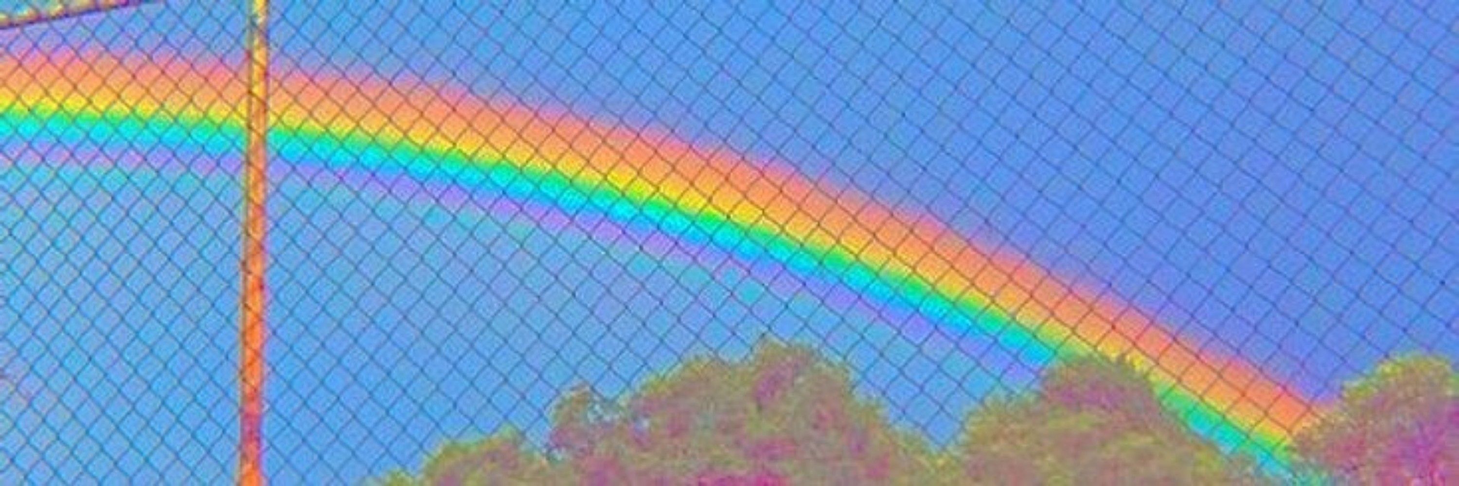 𝕃𝕚𝕧 𓍢ִ໋ :💜 ͙֒ 🌙
