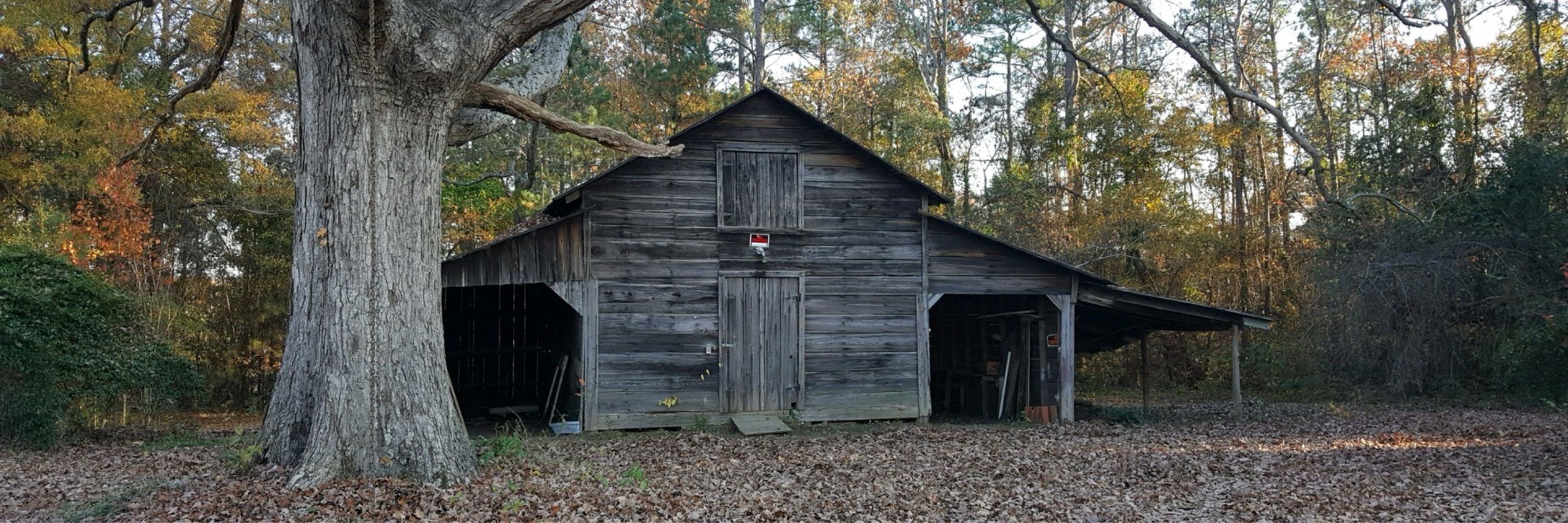 Laura Shumpert Key