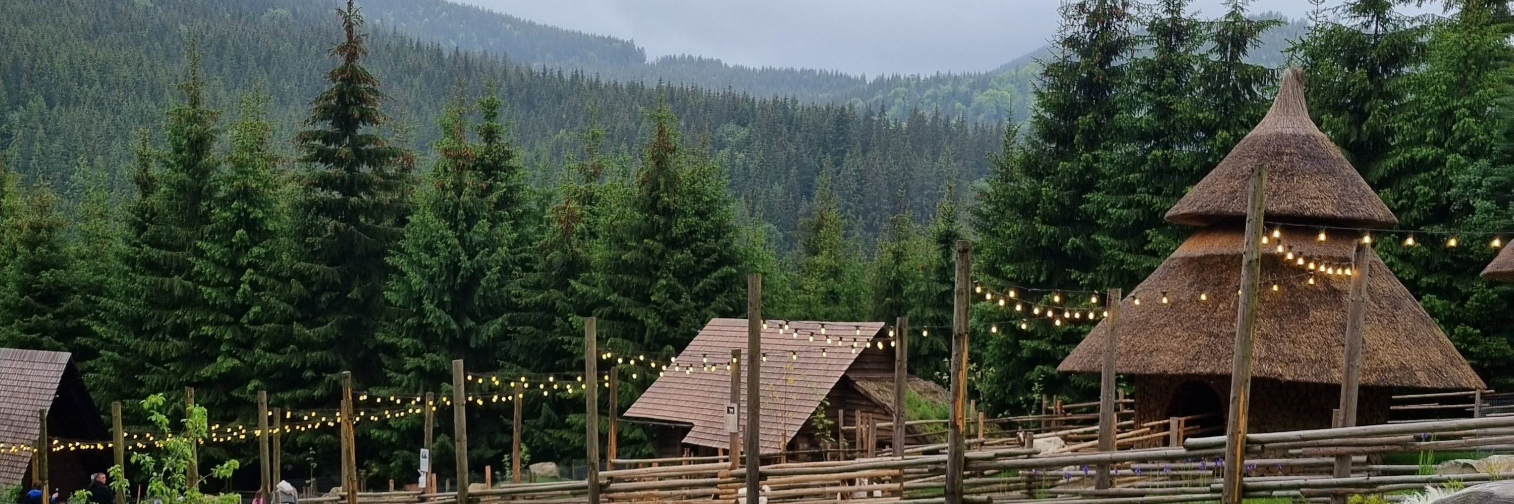 карі брови чорні очі