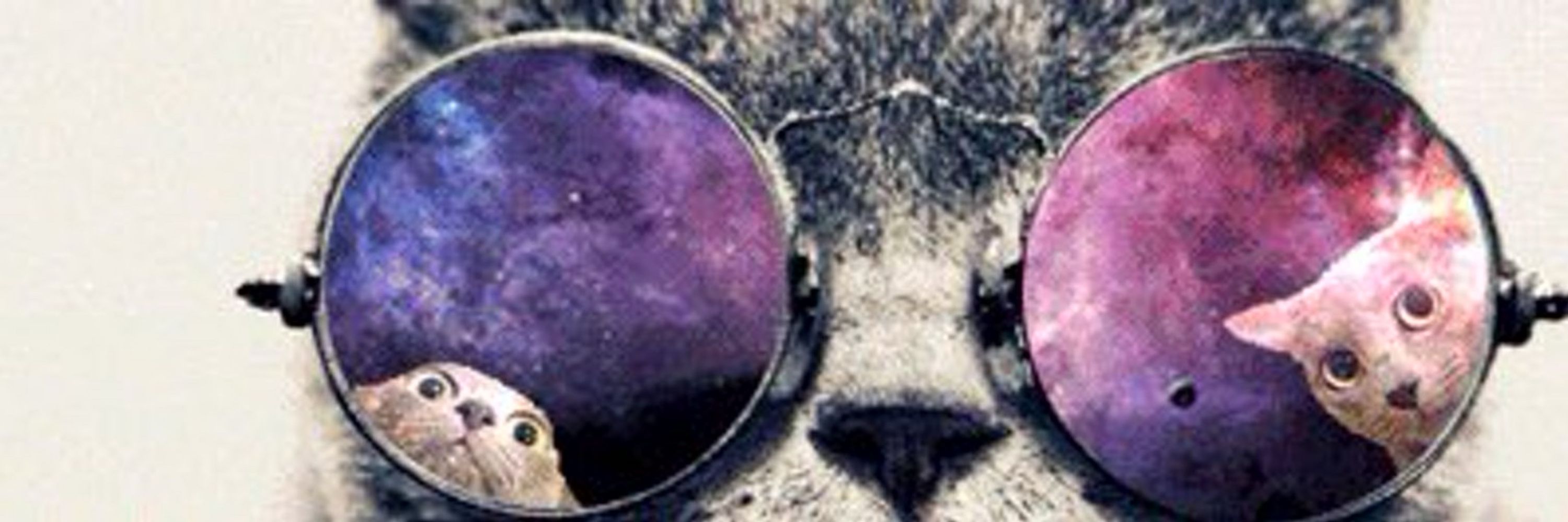 Chanandler Bong no finado twitter