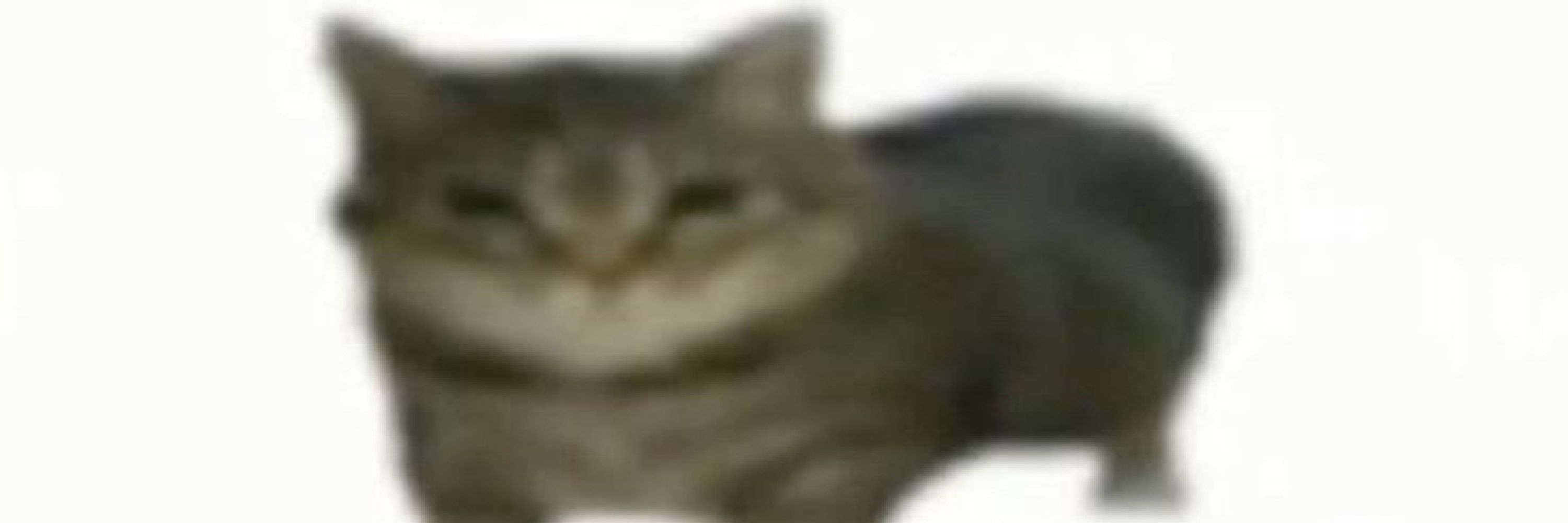 Thatguyaramis