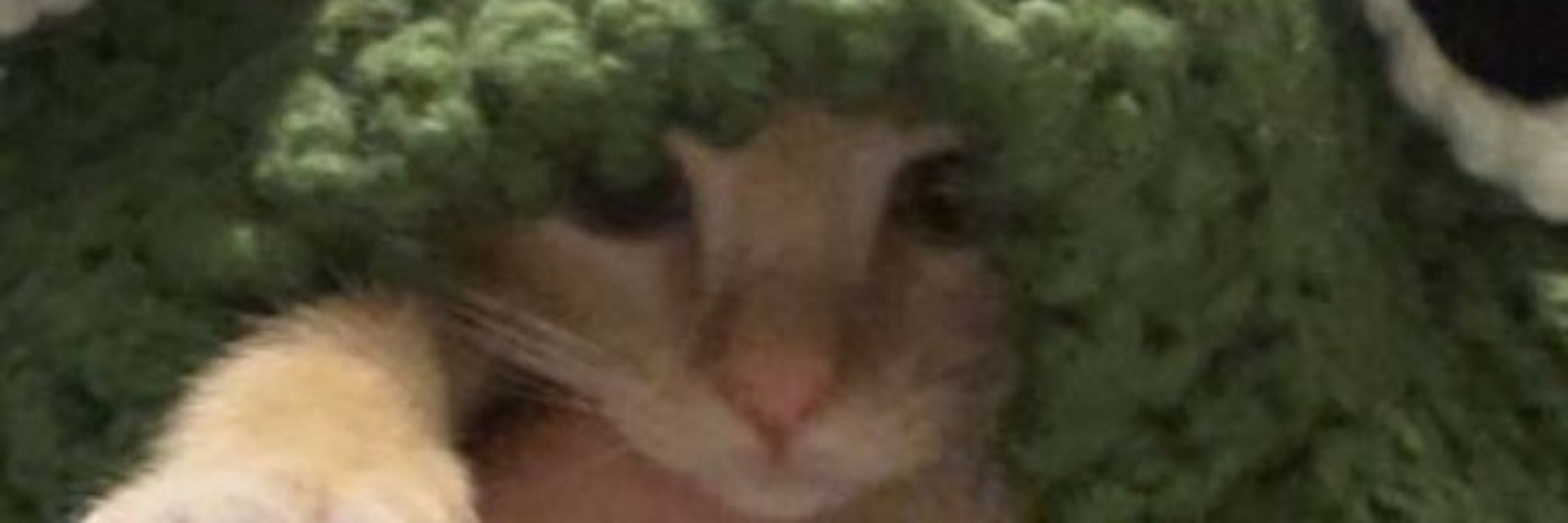 larilai