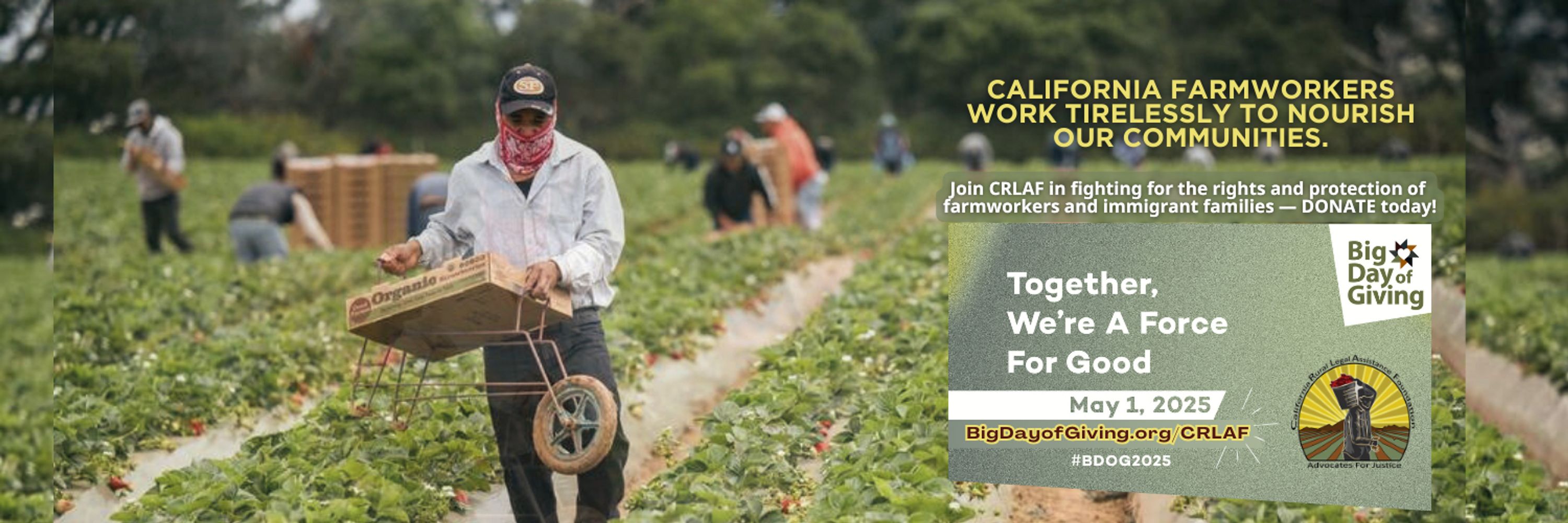 California Rural Legal Assistance Foundation (CRLAF)