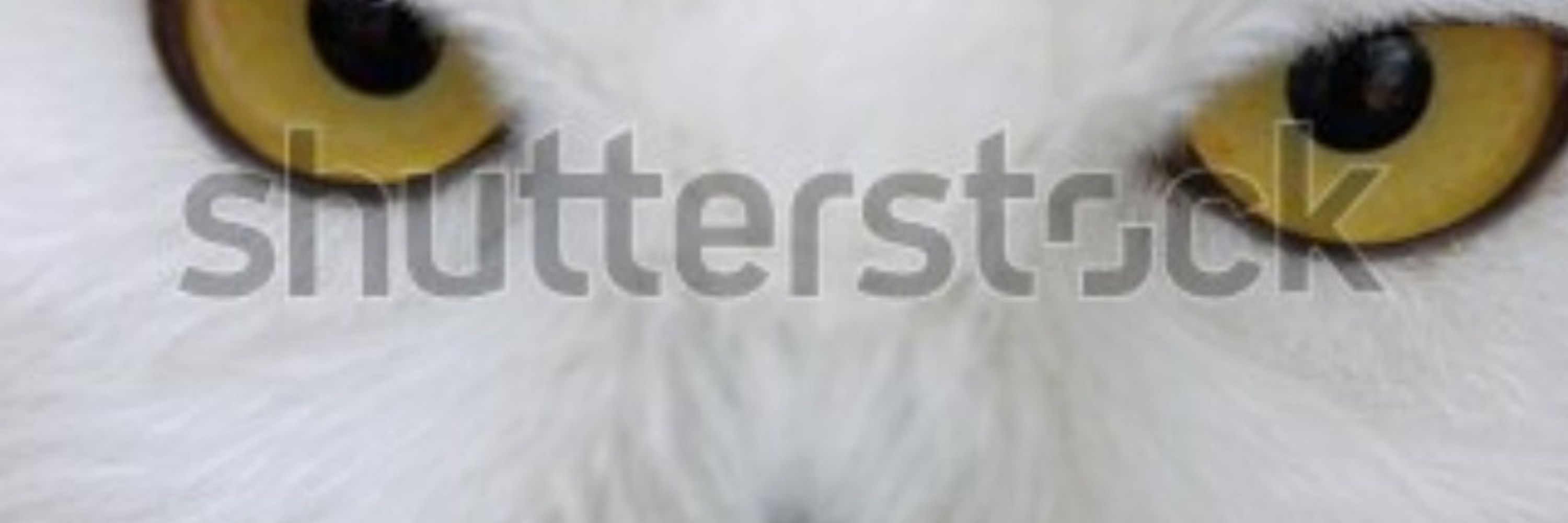 sn