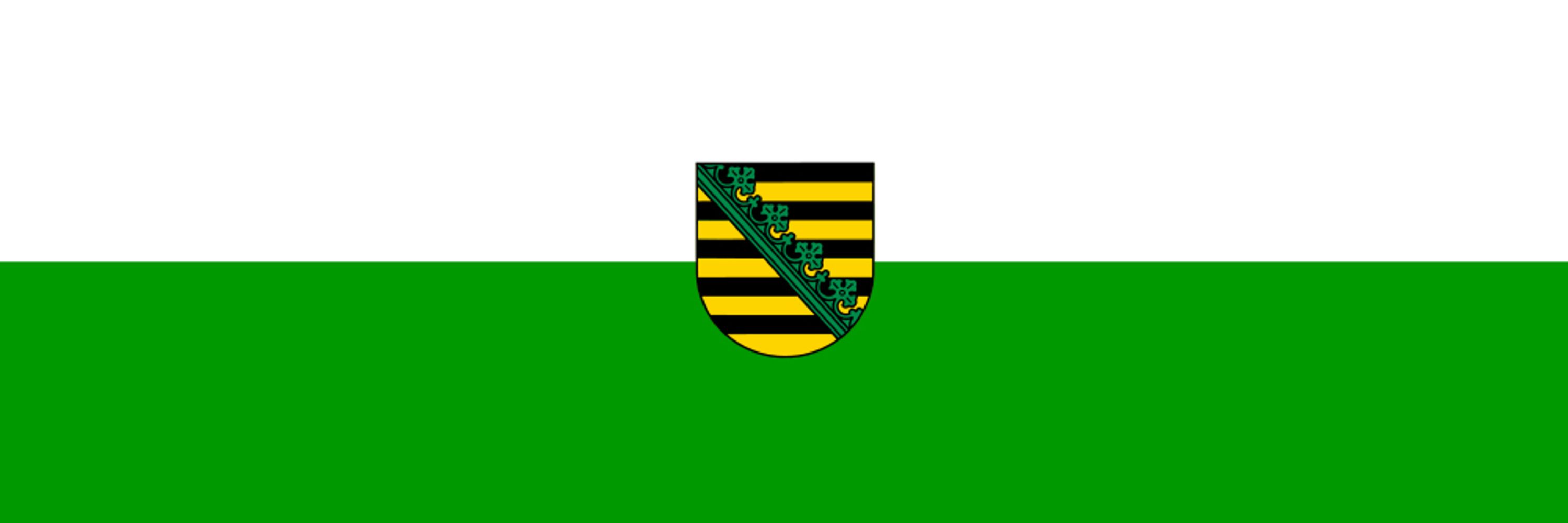 AfD Sachsen