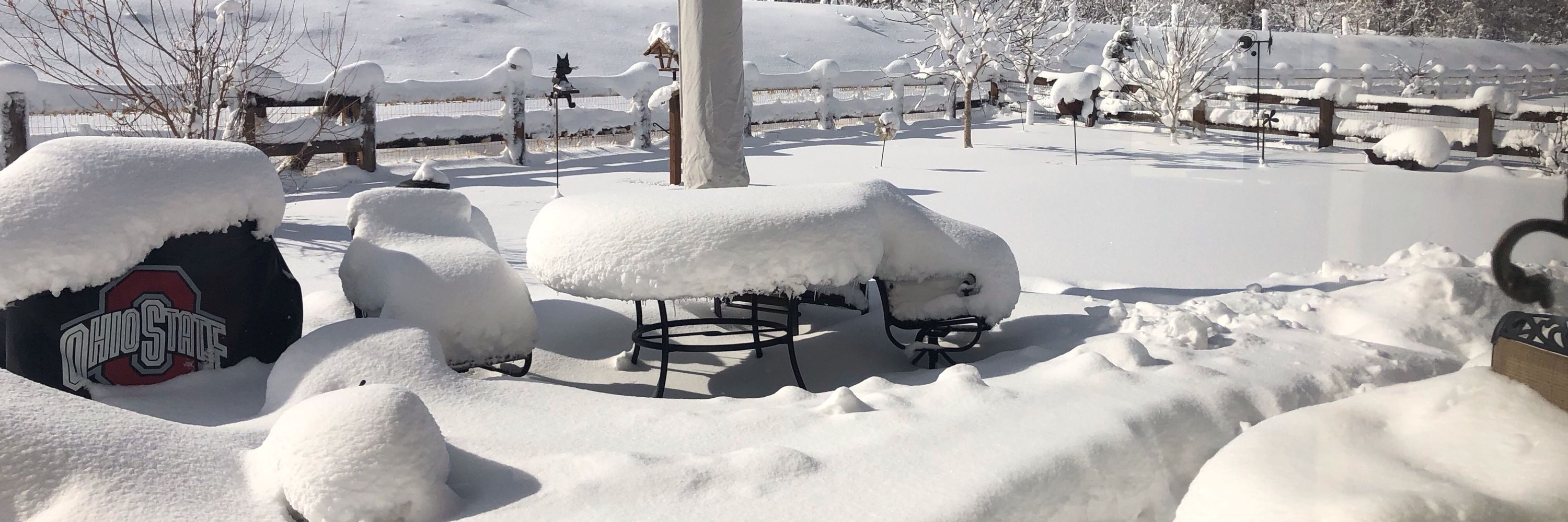 ColoradoBob