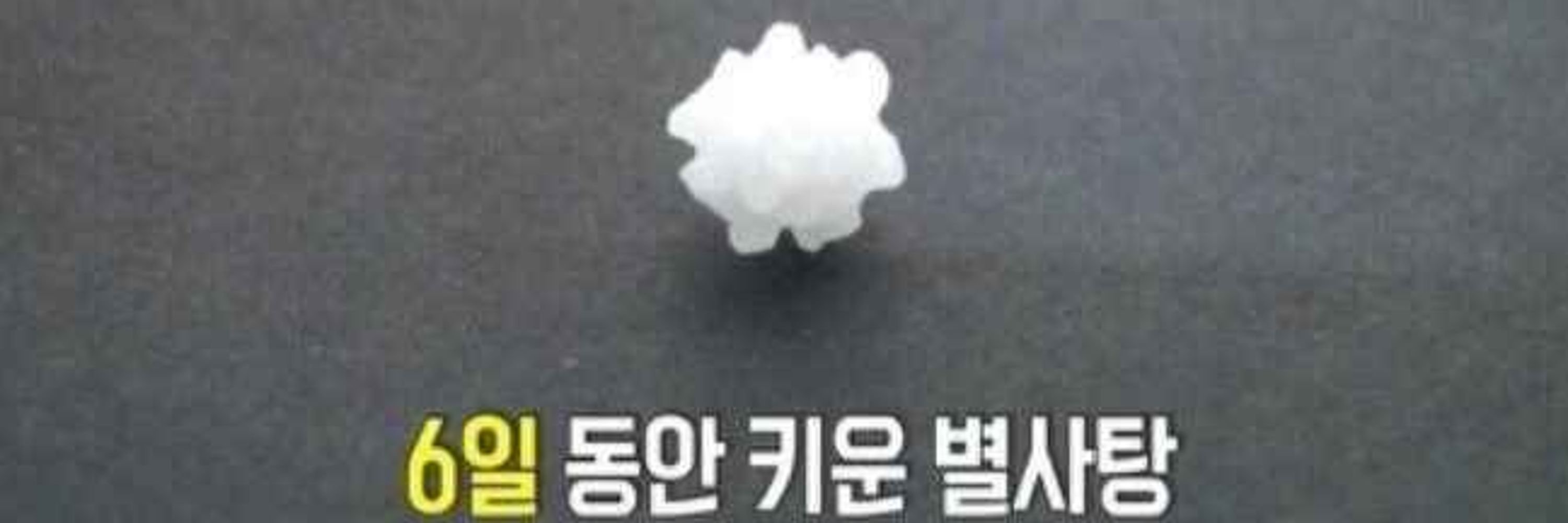 목이긴 공룡 