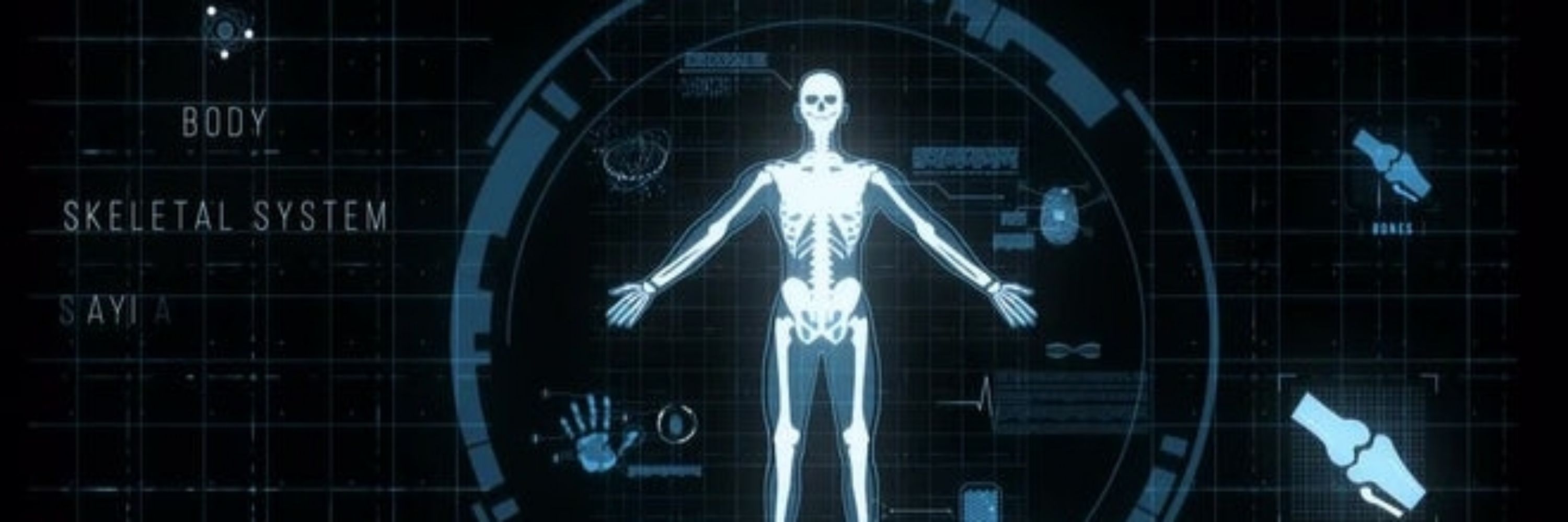 Human 2