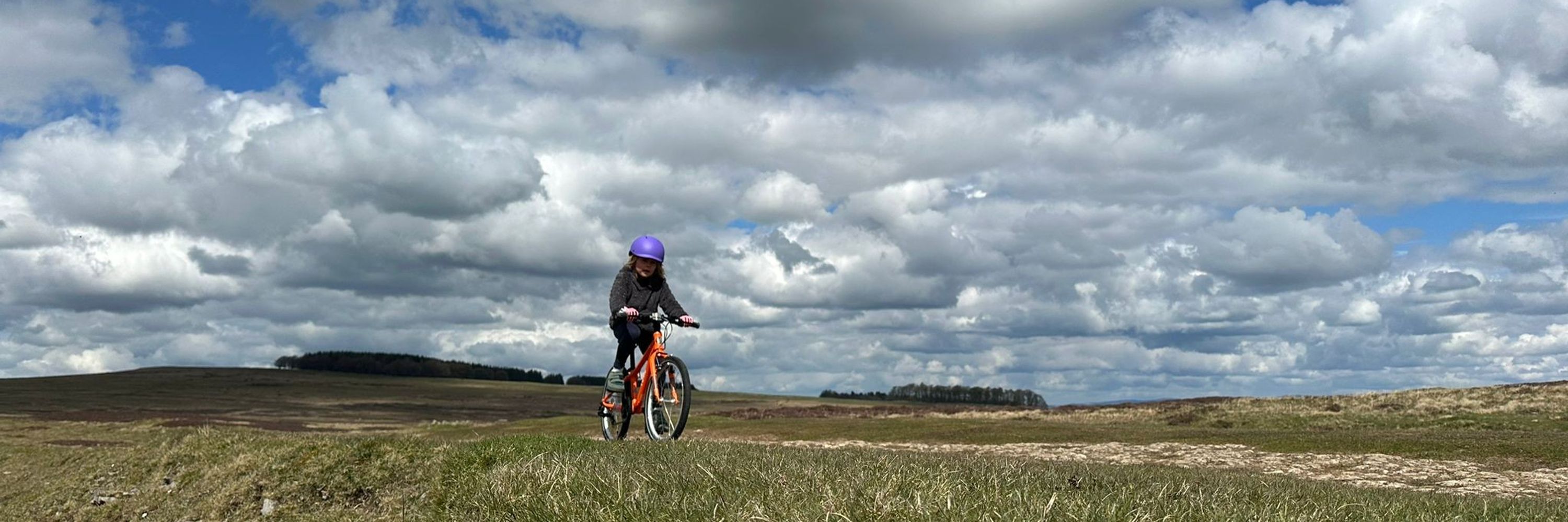 Cycle Sprog