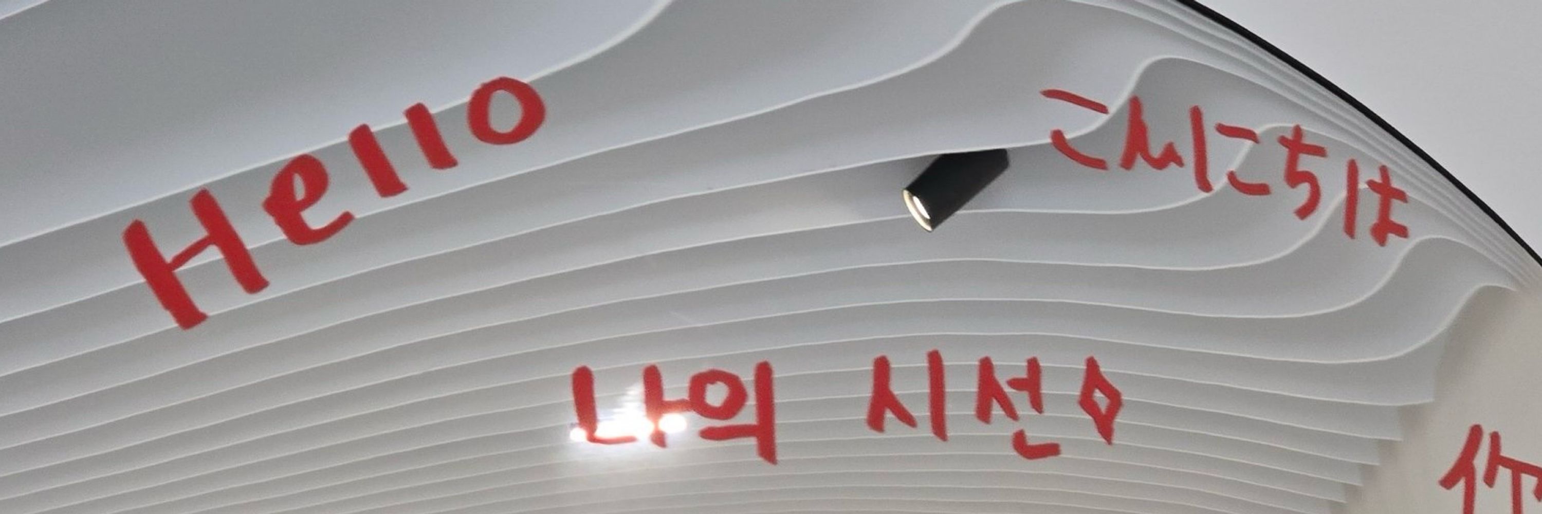 시선