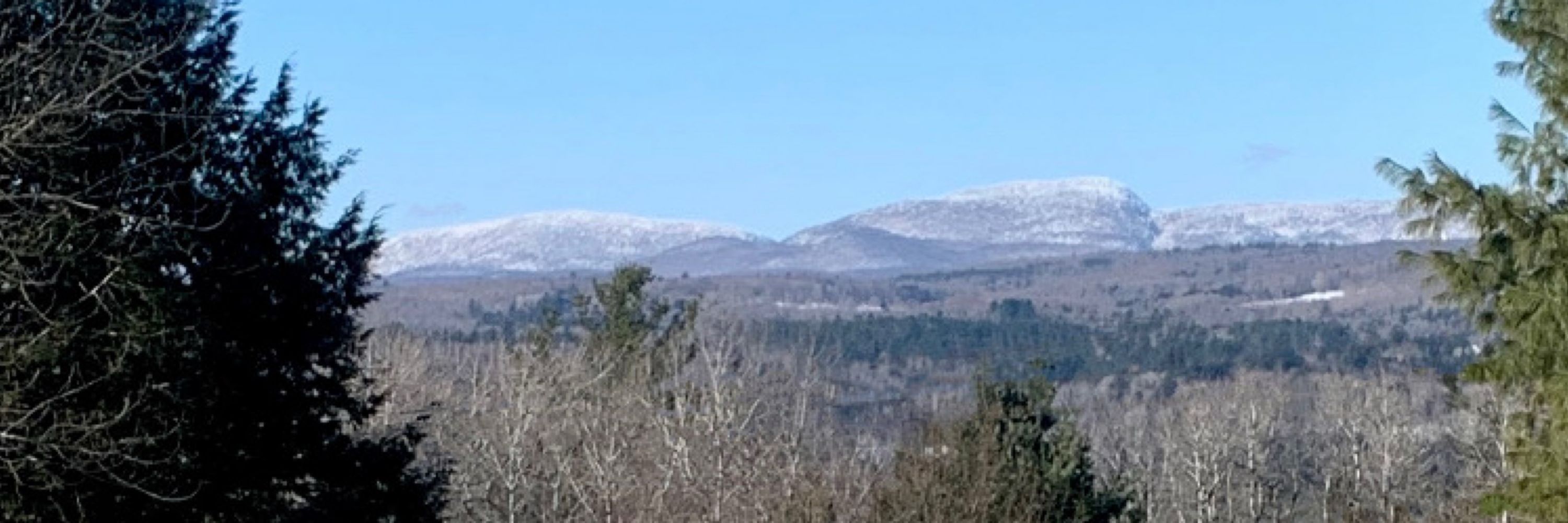 Steven St-Wood