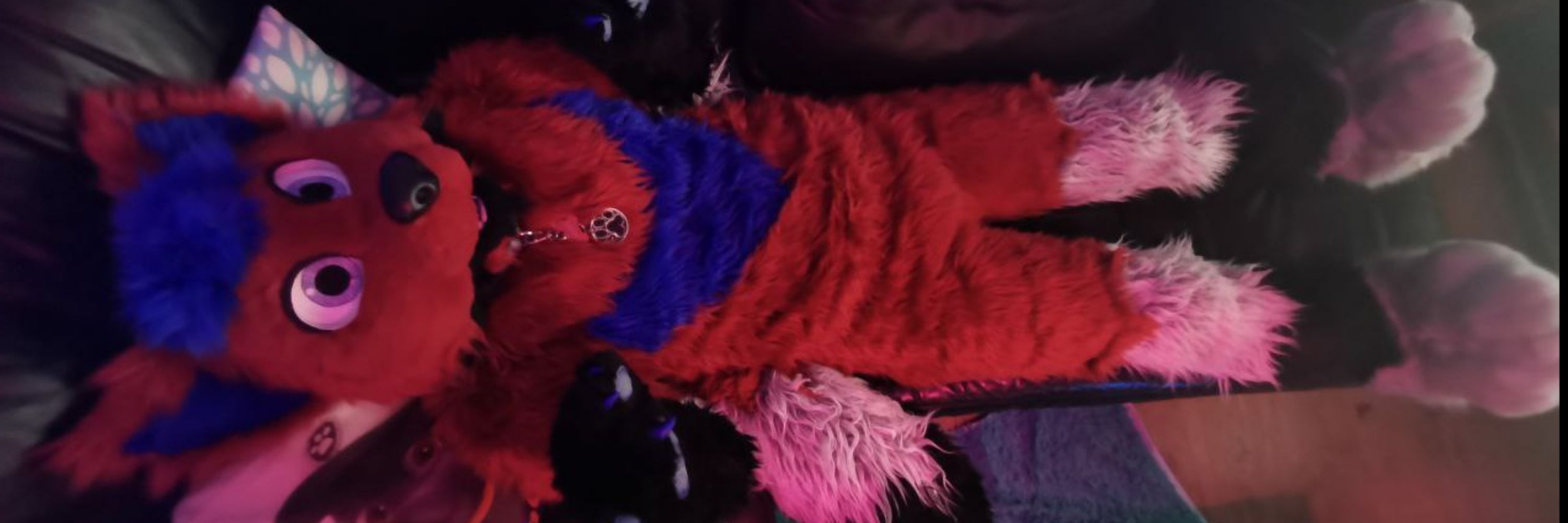 Blackred Paws NSFW 18+ only