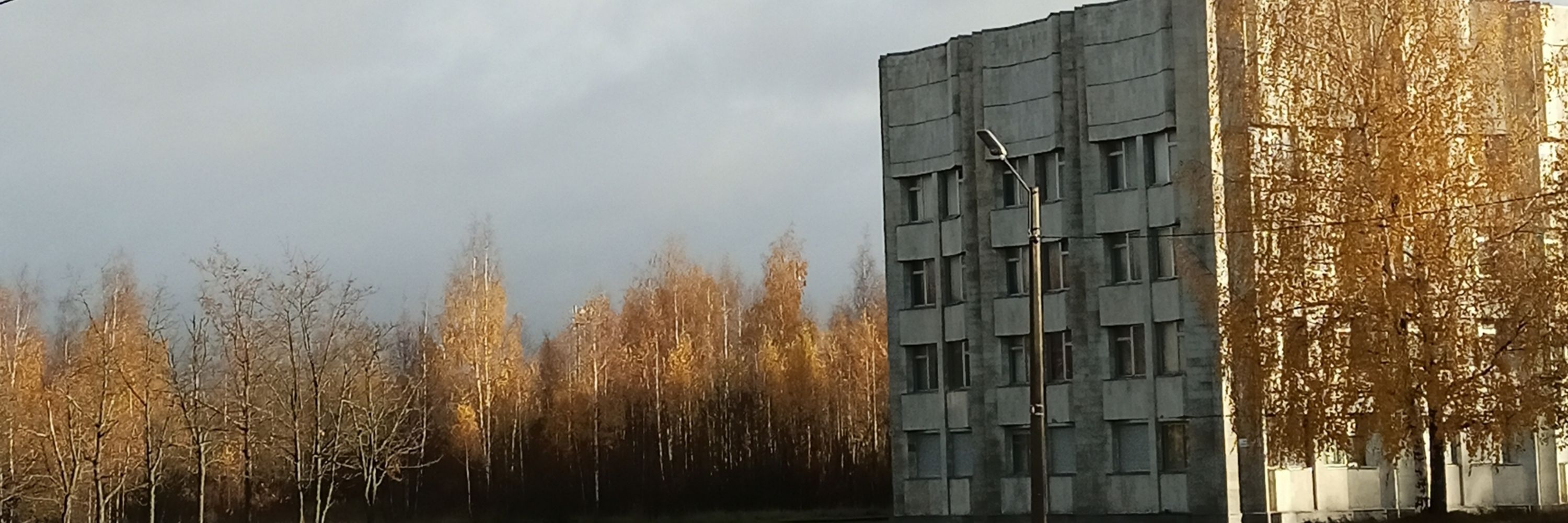 denrei