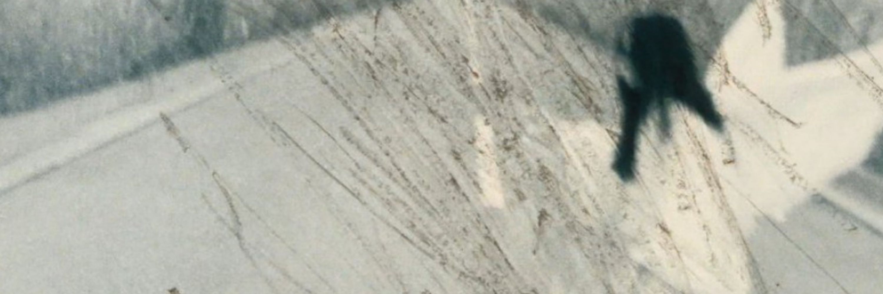 c.
