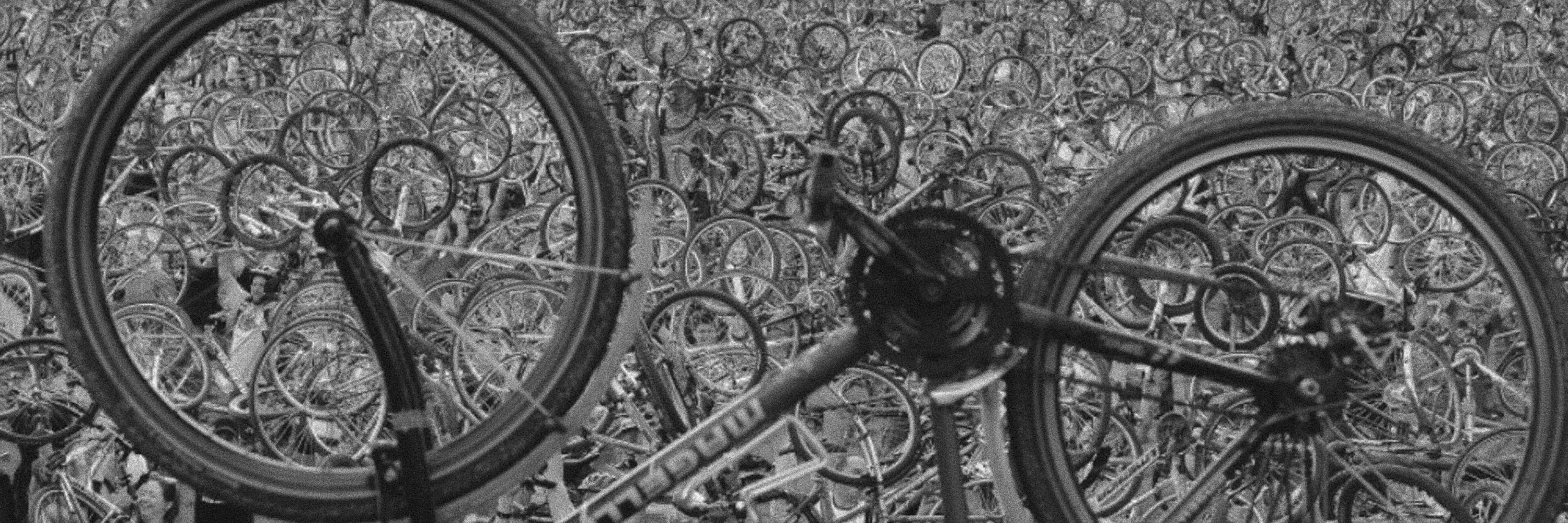 Bikesky Labeler