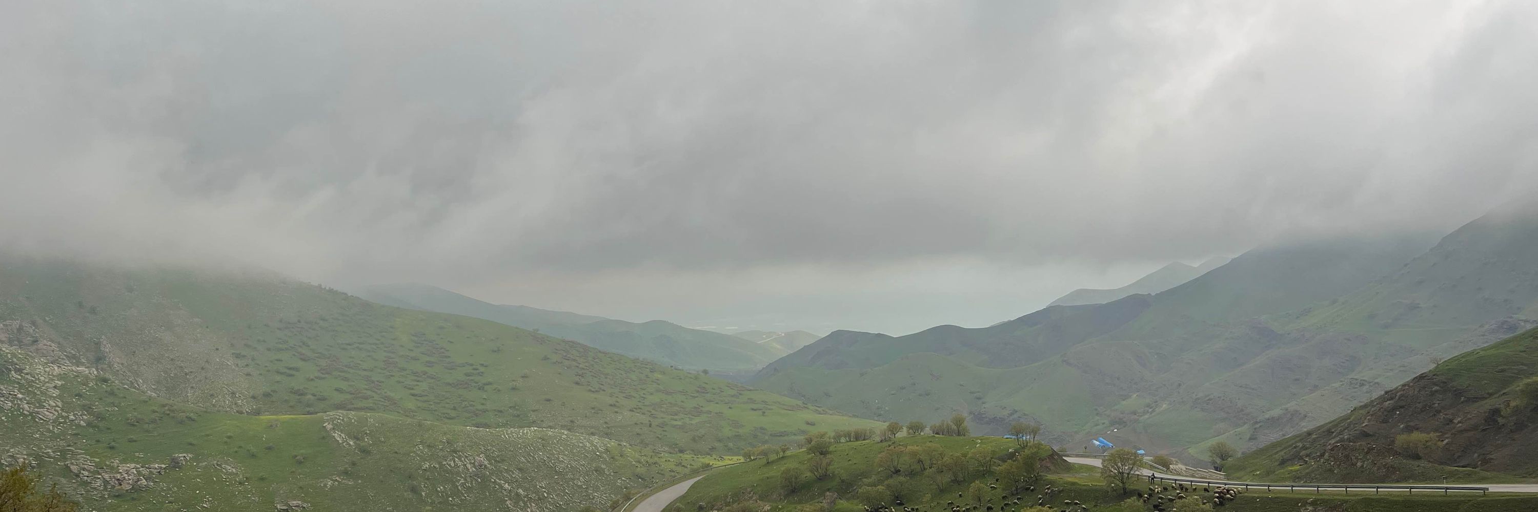 Yerevan Saeed