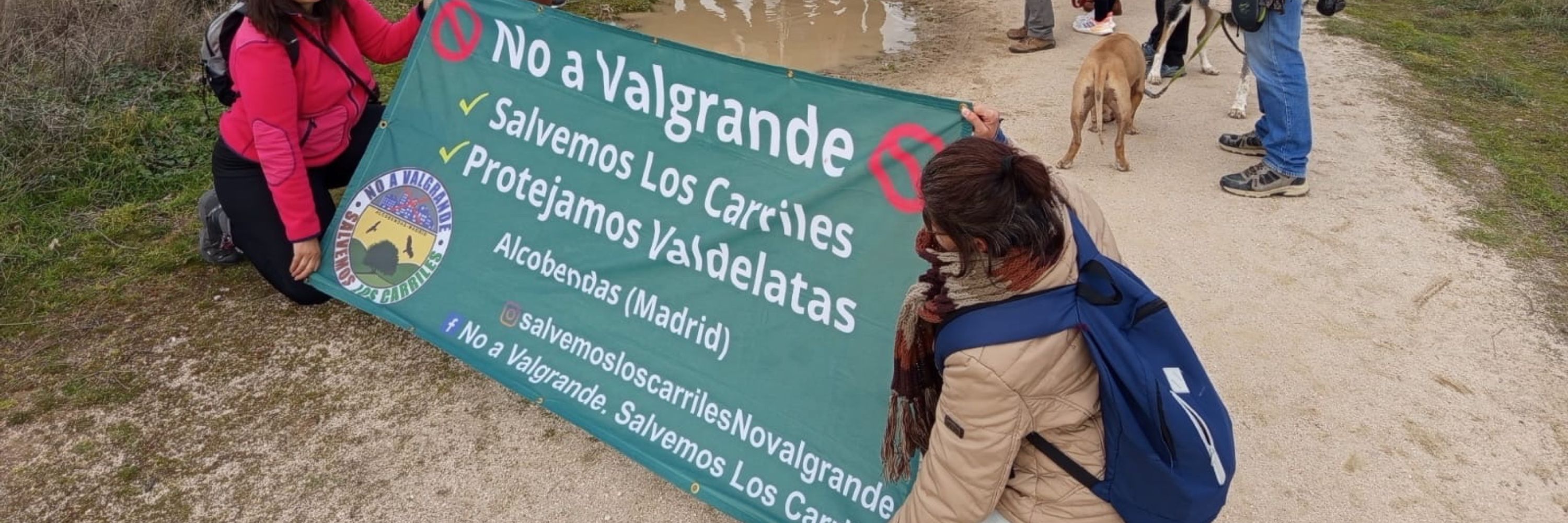 Salvemos Los Carriles