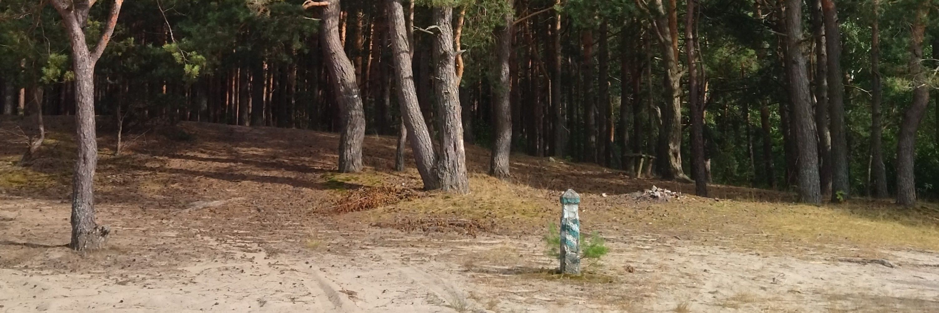 самоспряжене розширення 
