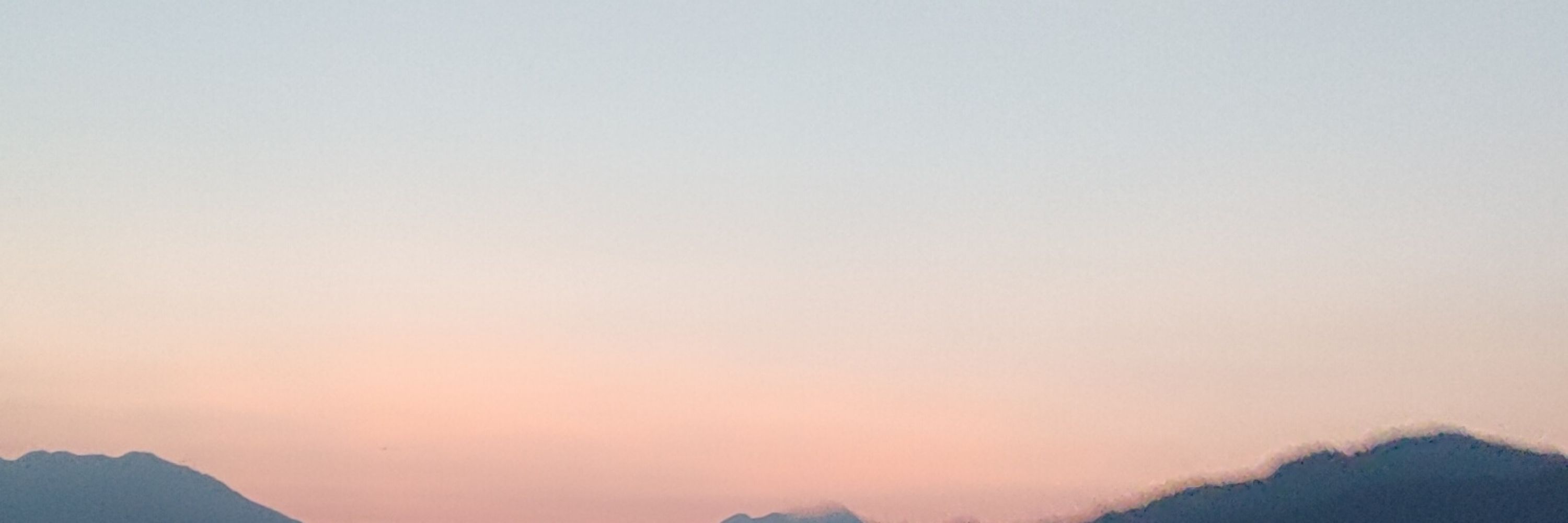 ない