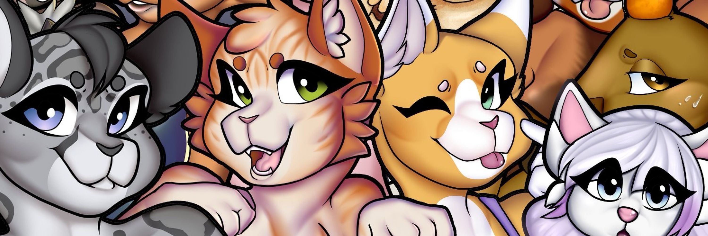 💜 Stella Kitty 🔜 PDFC, TFF 💜