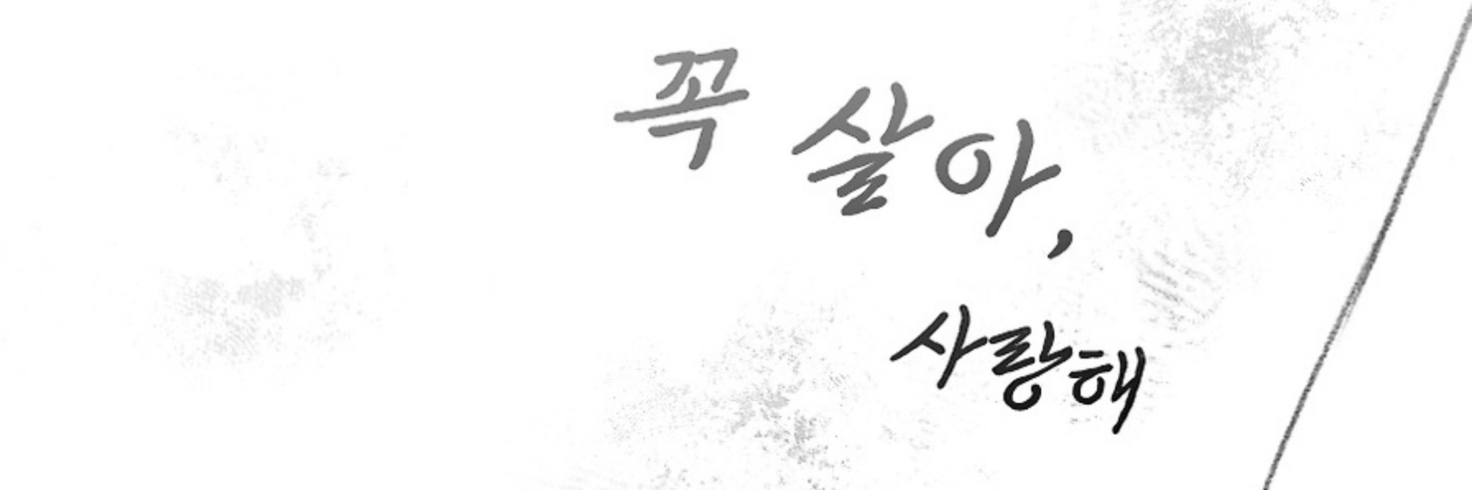 치스