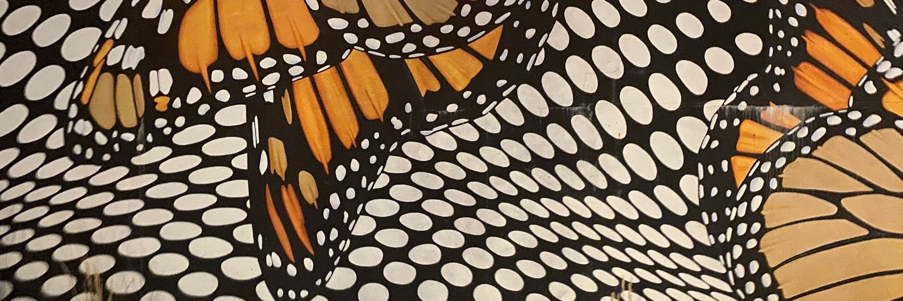 Ukamaka Olisakwe