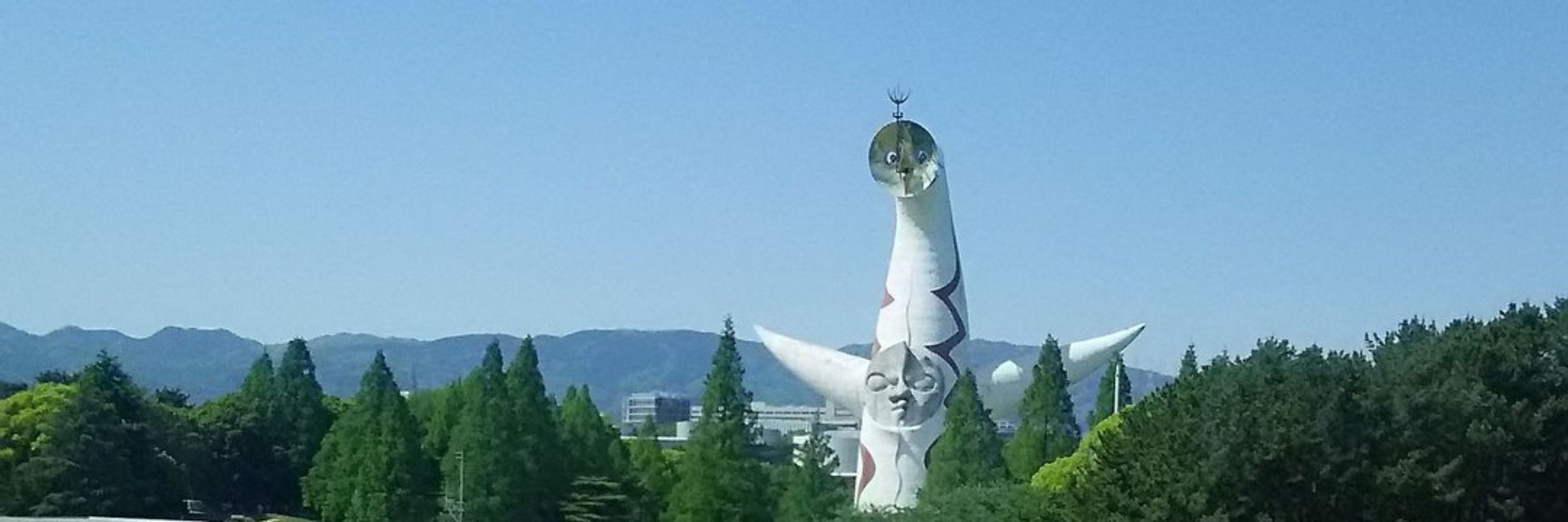 ぴょんぴょん🐸