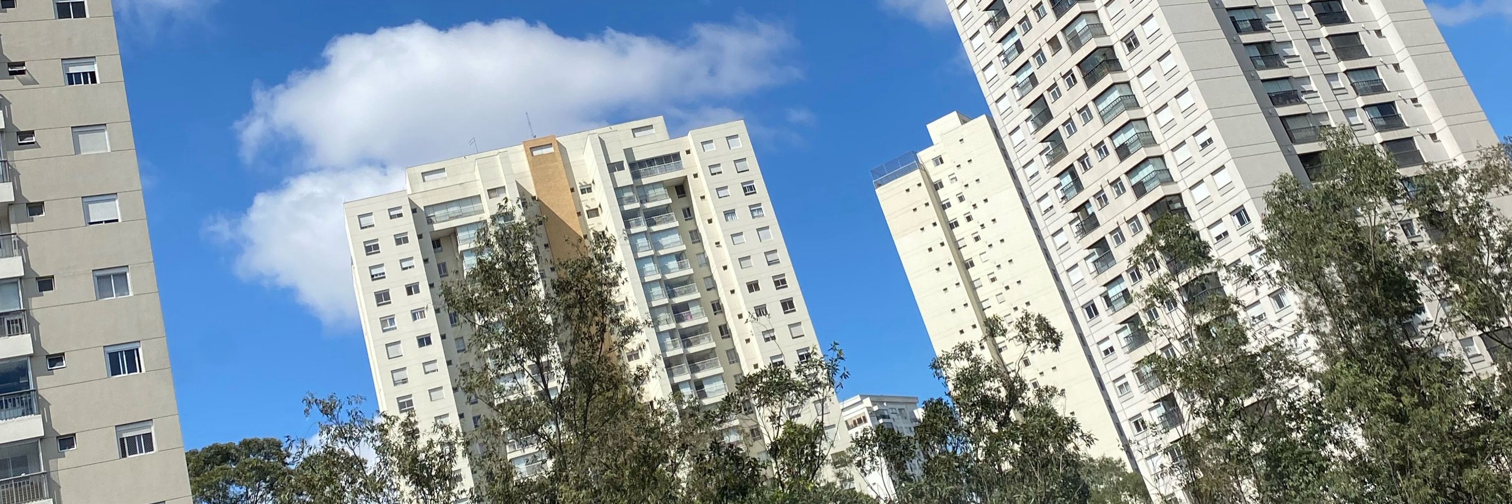 Joao.lrnunes