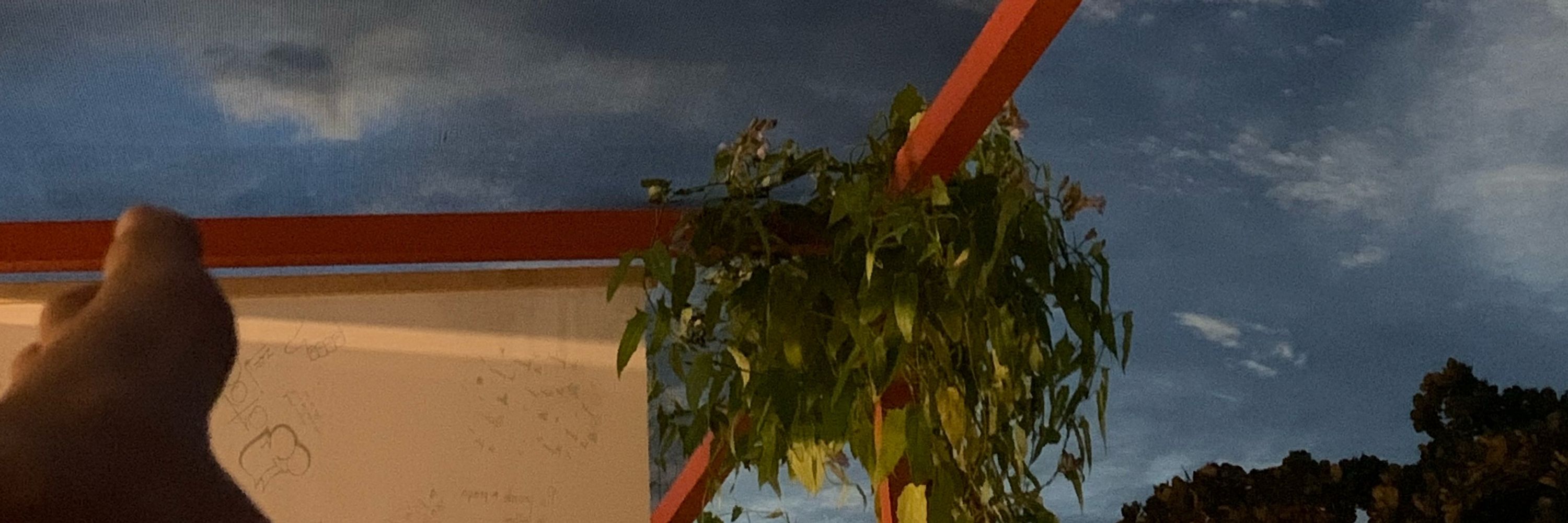 bê