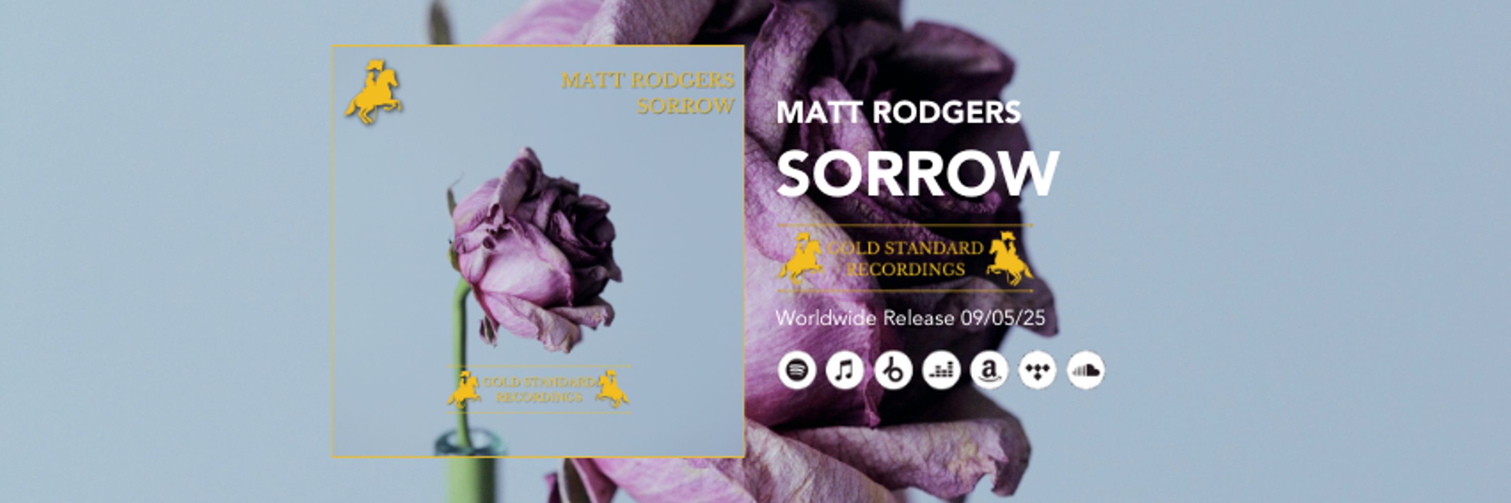 Matt Rodgers