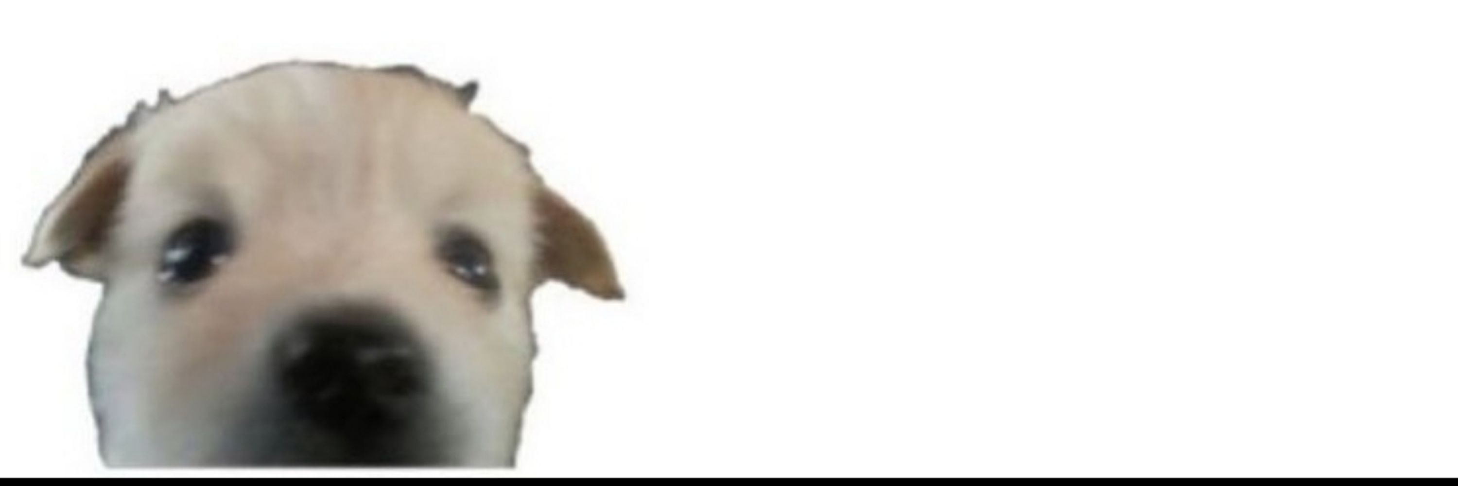 pupster (she/he) 18+