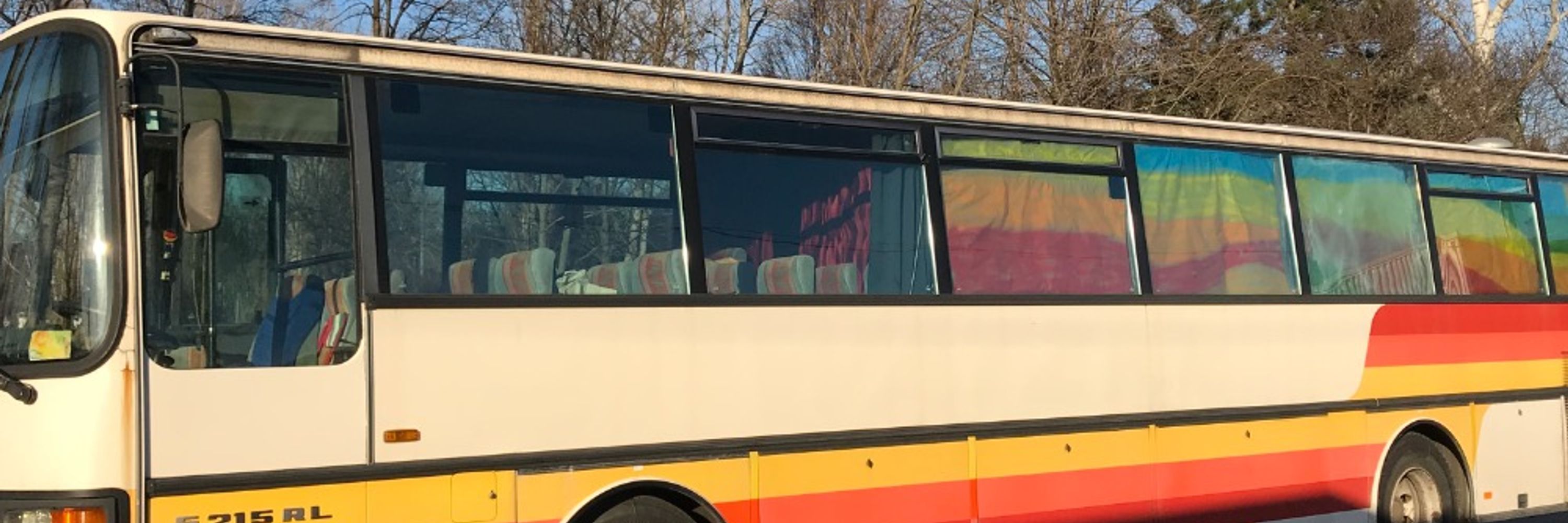 Buskatze