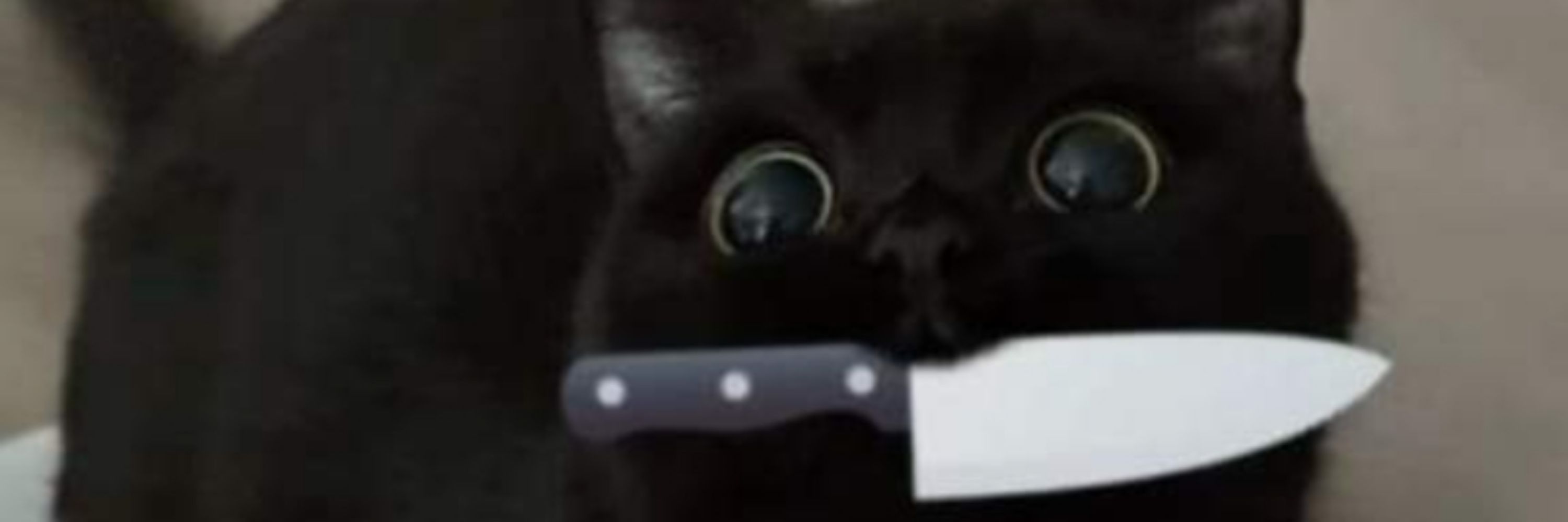 SemeSensei