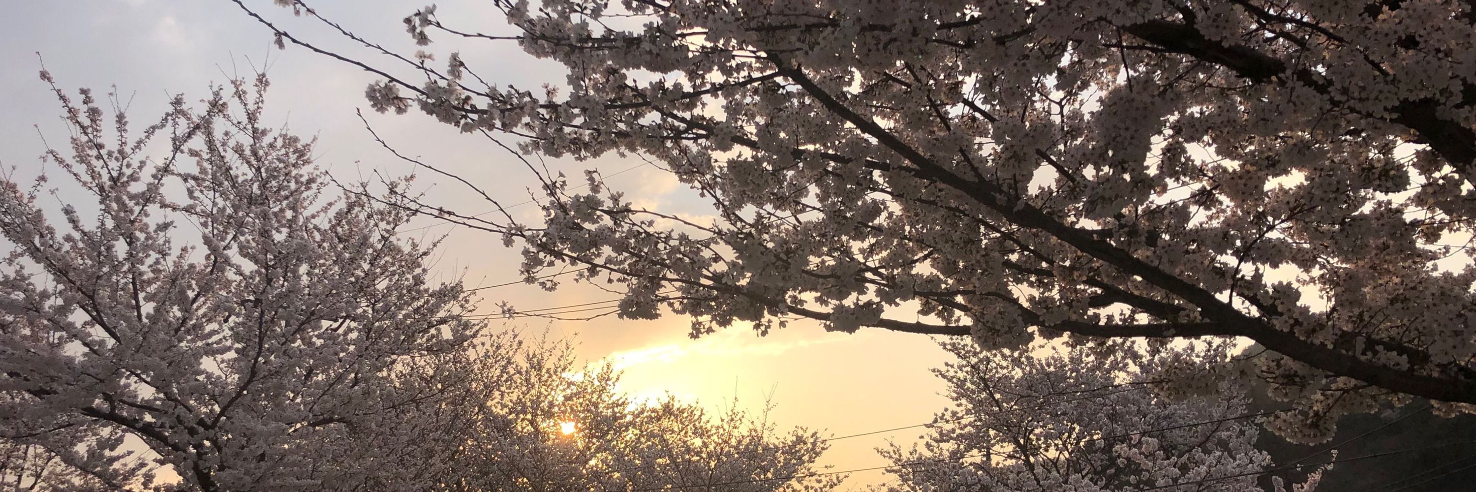 수기