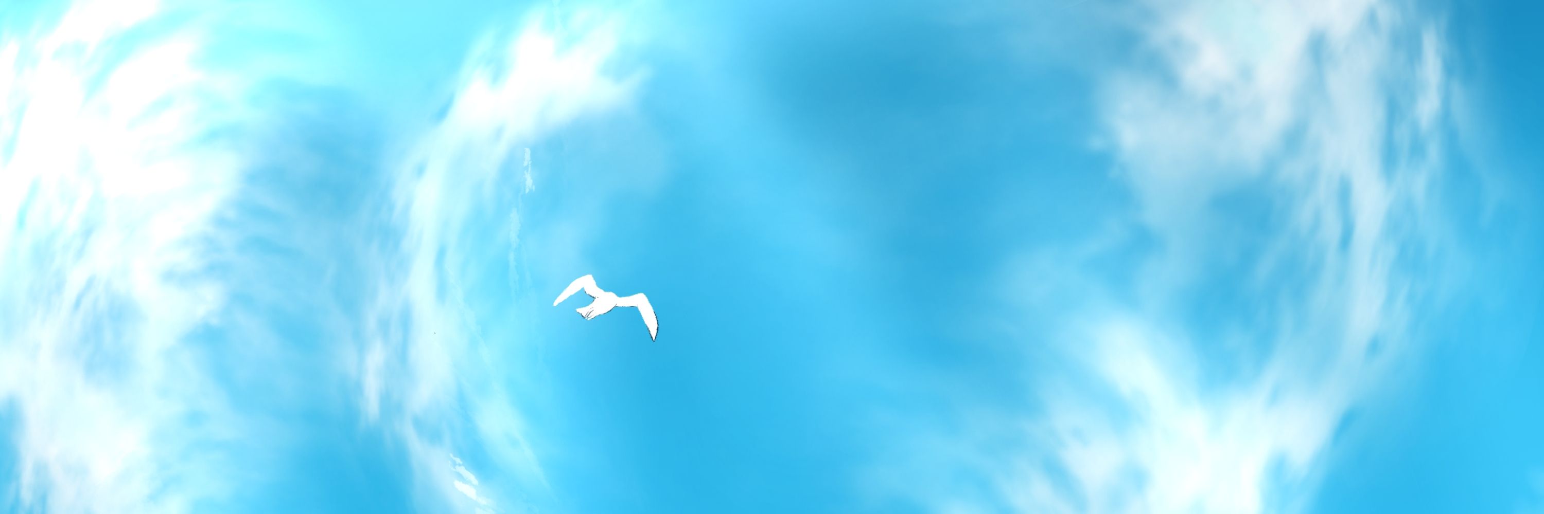 ヒロ