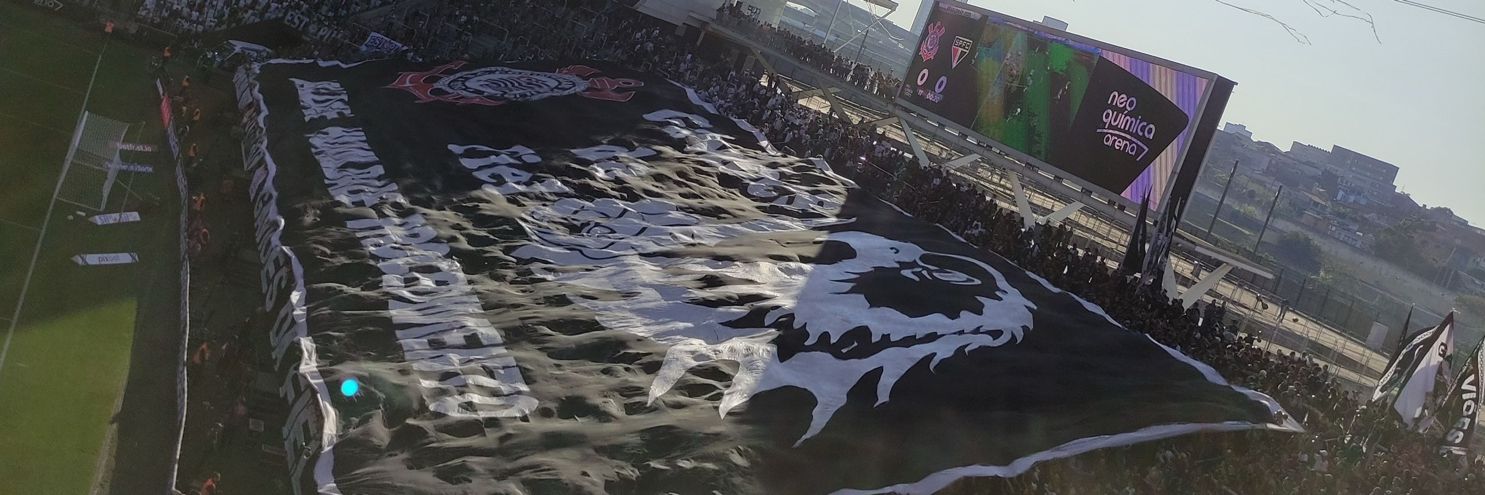 Magalzete 🦅