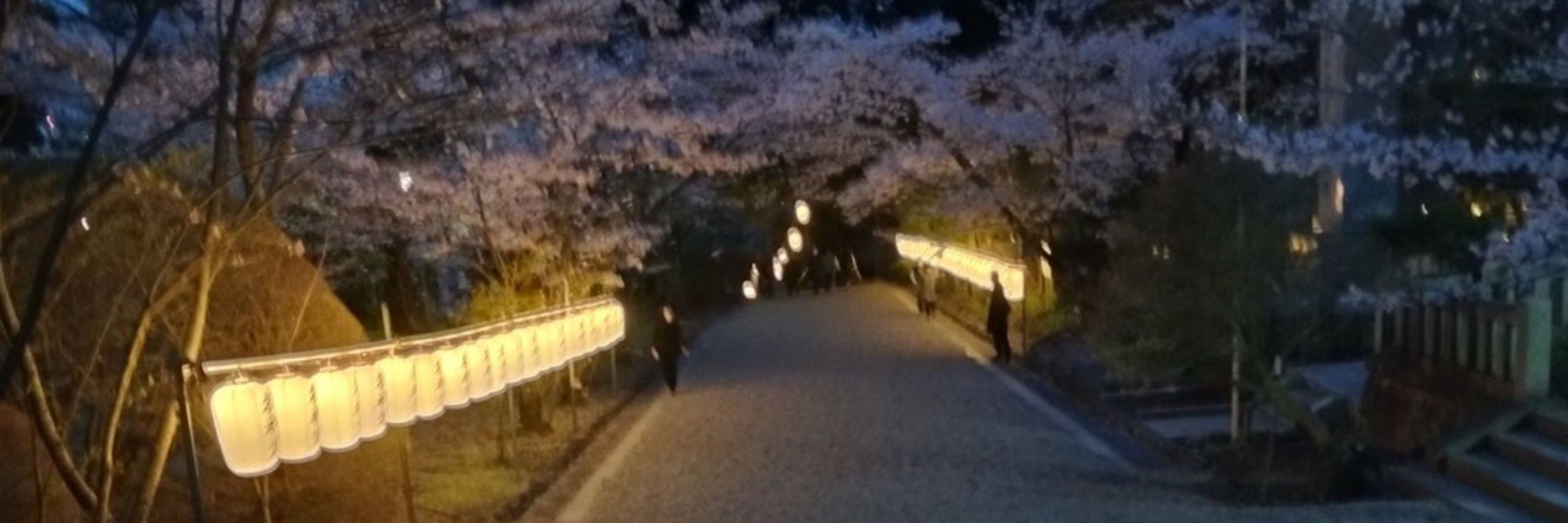 かんぞう¥