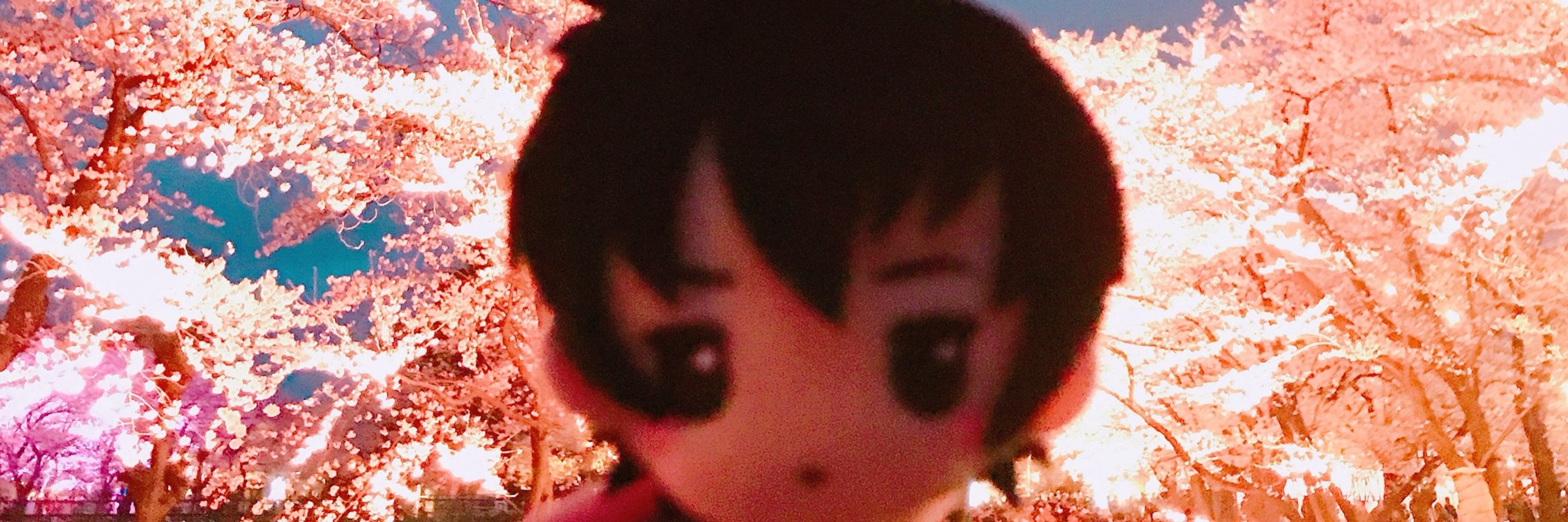 めめお