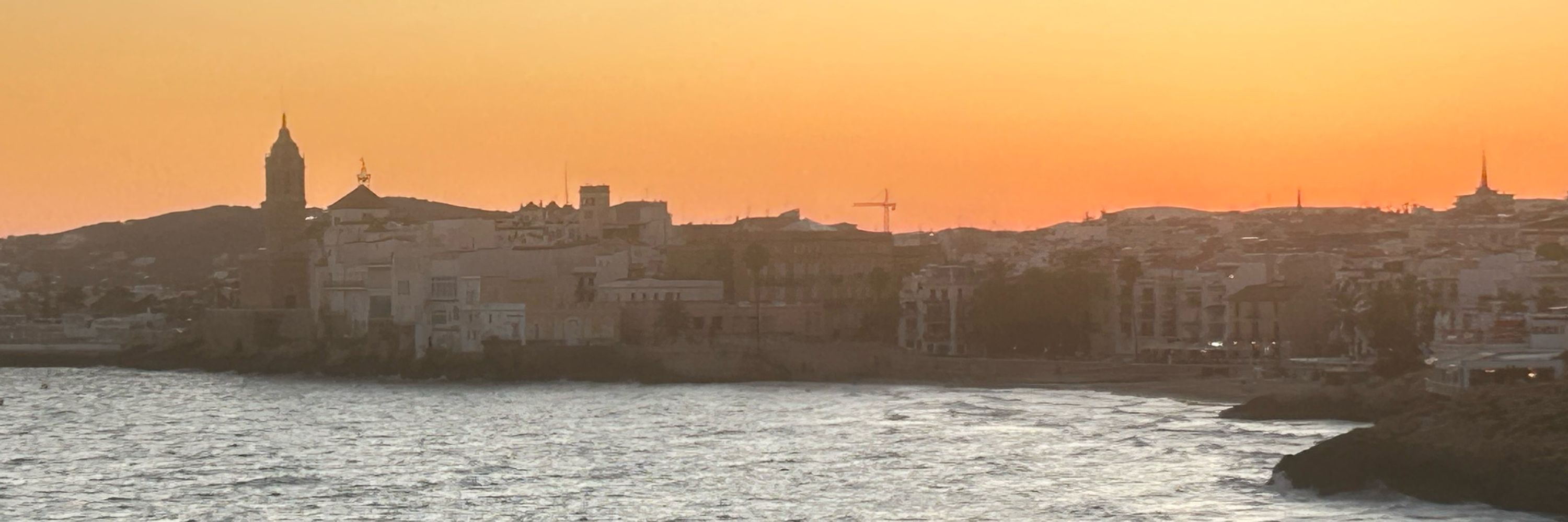 Joana Fort Baixeras