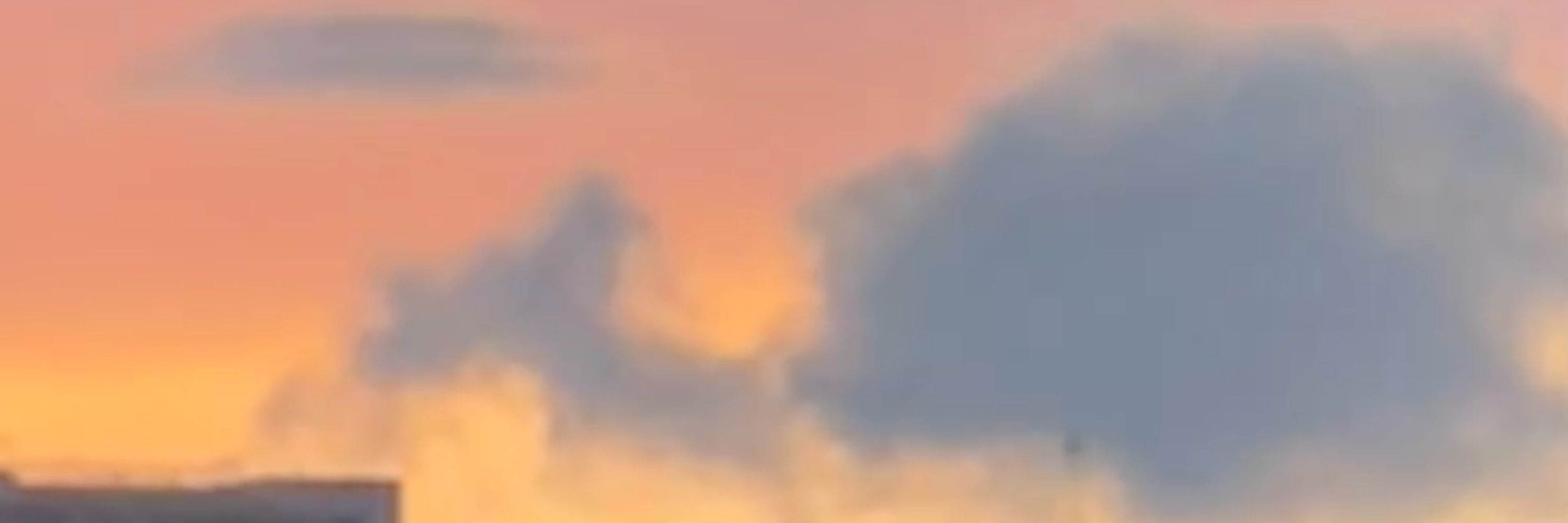 阿魚